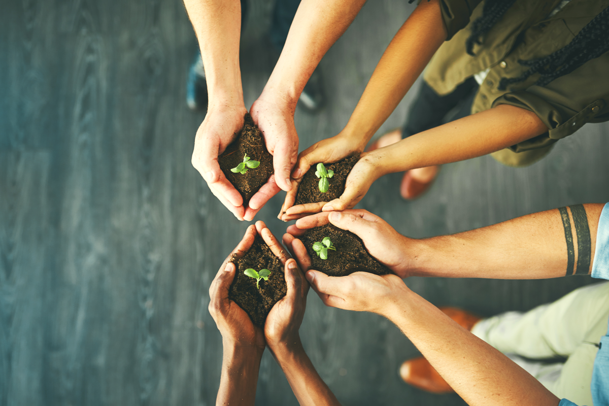 Ready to “up-green” your business?