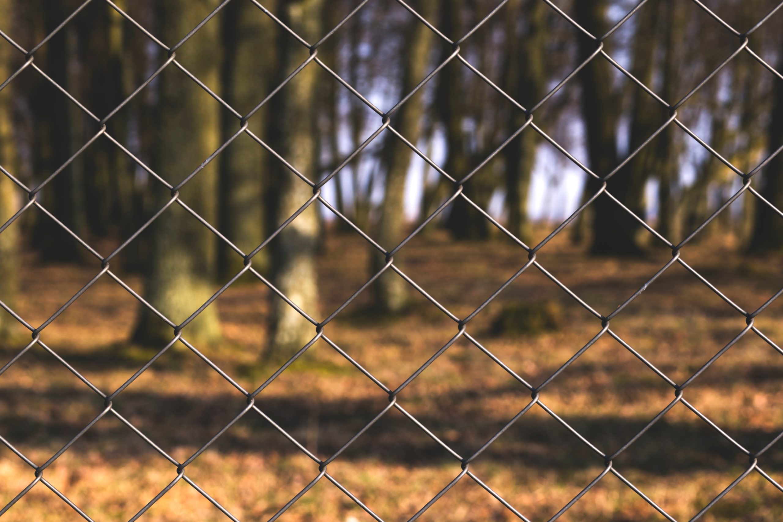 Barriers to Workplace Learning