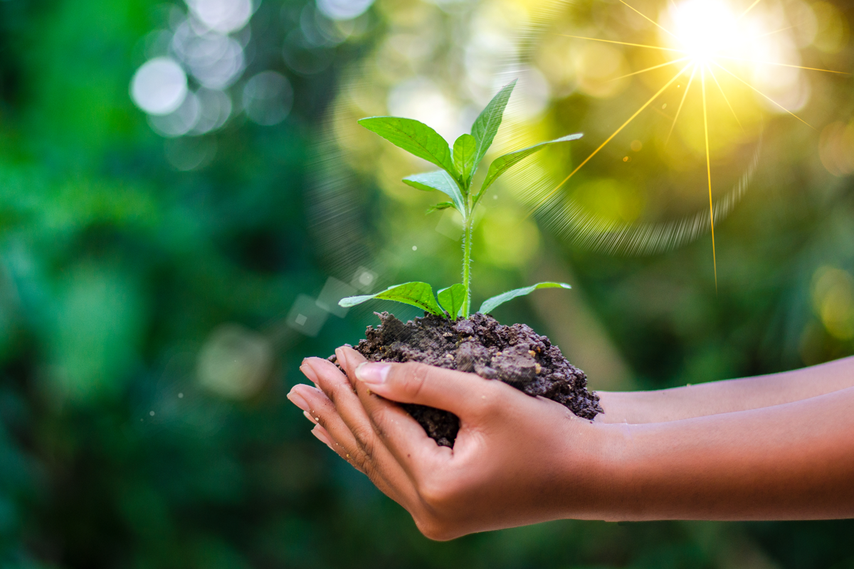What Does Nature Do For You? Plenty, As It Turns Out