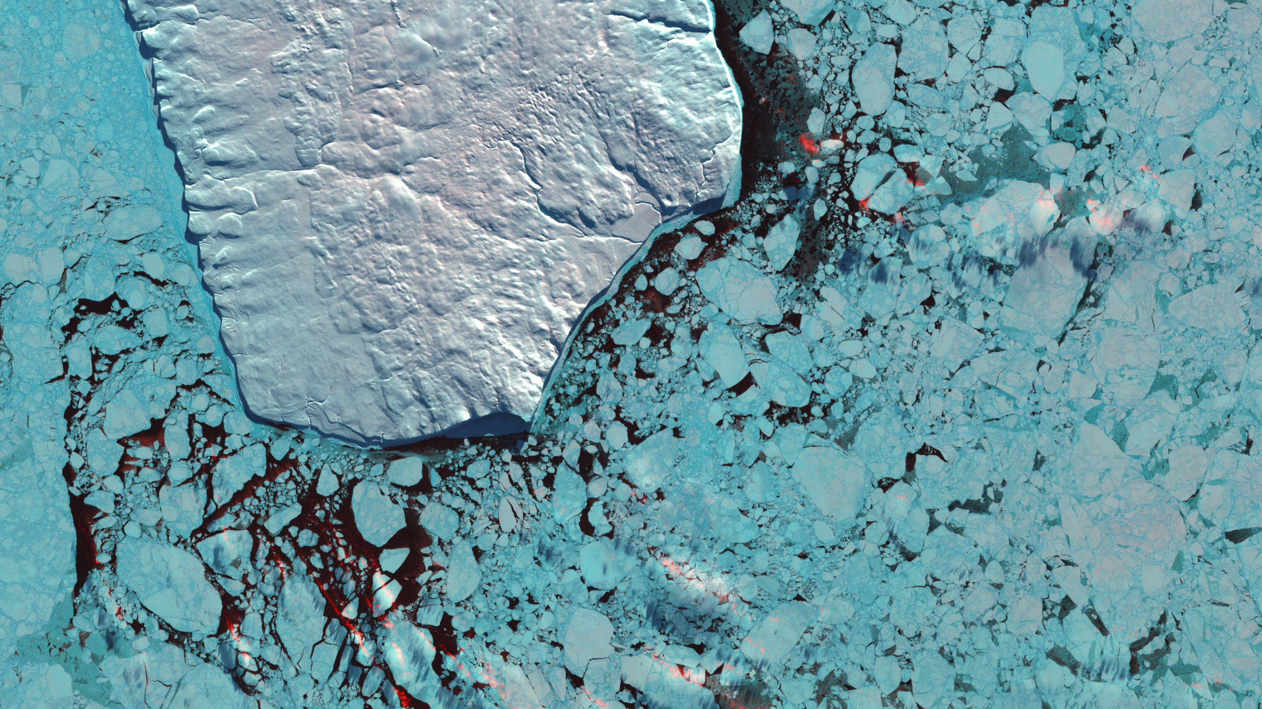 FOCUS: Climate Change