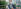 FOCUS: 2019-20 Coronavirus Outbreak