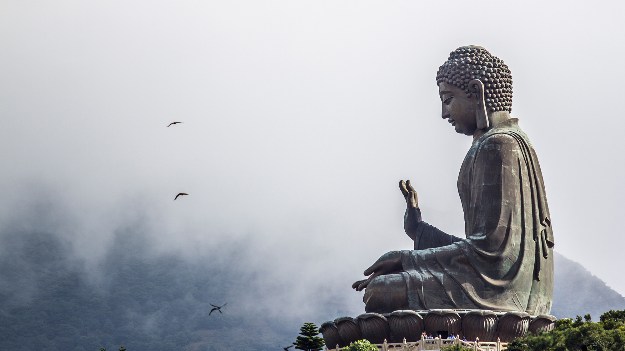 Tool for Mindfulness Meditation - Breathing Buddha in 2023